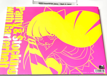 Load image into Gallery viewer, Panty and Stocking with Garterbelt art book gainax offical imaishi hiroyuki