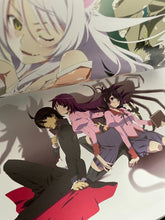 Load image into Gallery viewer, bakemonogatari anime 10th anniversary illustration work art book dame monogatari