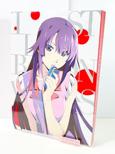 Load image into Gallery viewer, bakemonogatari anime 10th anniversary illustration work art book dame monogatari