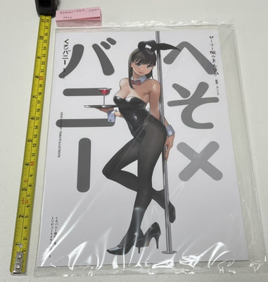heso bunny girl art book some artist yom etc comiket air 3
