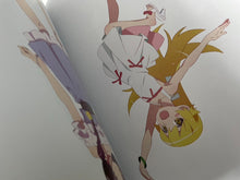 Load image into Gallery viewer, bakemonogatari anime 10th anniversary illustration work art book dame monogatari
