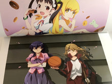 Load image into Gallery viewer, bakemonogatari anime 10th anniversary illustration work art book dame monogatari

